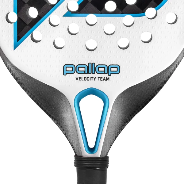 PALLAP Velocity Team